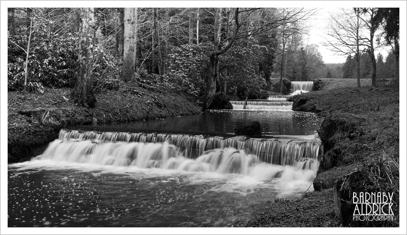 Birthday Walk at Harewood House