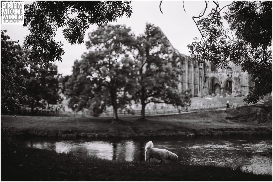 Bolton Abbey Pre-Wedding Photography 017.jpg