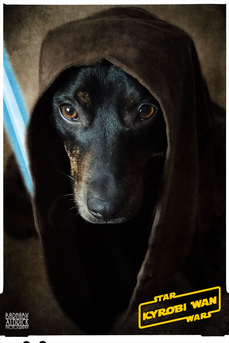 Jedi Star Wars Dog Fancy Dress, Star Wars Pet Costume