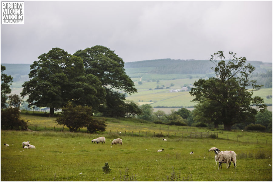 Bowes Museum Barnard Castle Wedding,Bowes Museum Wedding Photographer,Bowes Museum Wedding Photography,County Durham Wedding Photography,