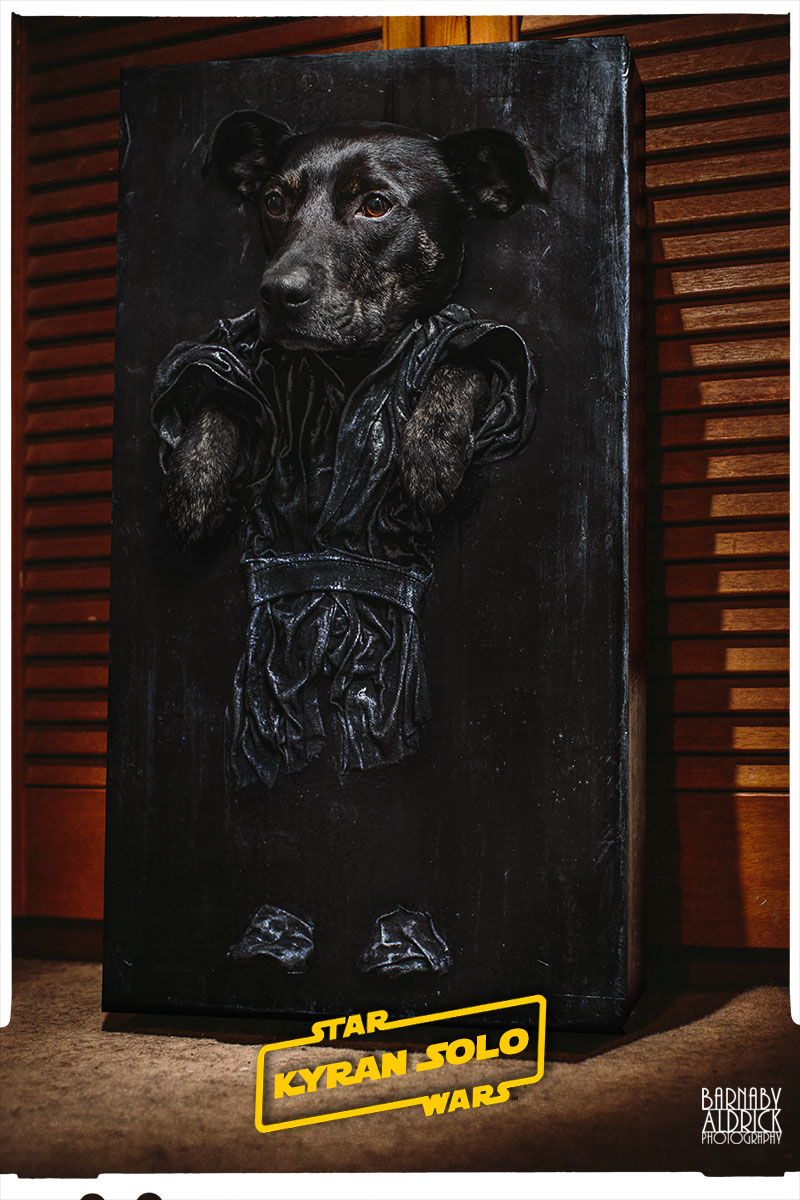 Han Solo Carbonite Star Wars Dog Costume, 