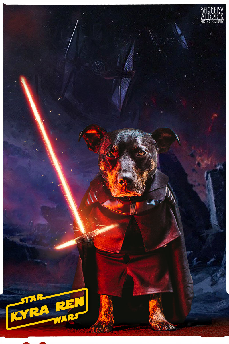 Star Wars Dog costume, Dog lightsaber costume, Star Wars Pet outfit, Kylo Ren Dog