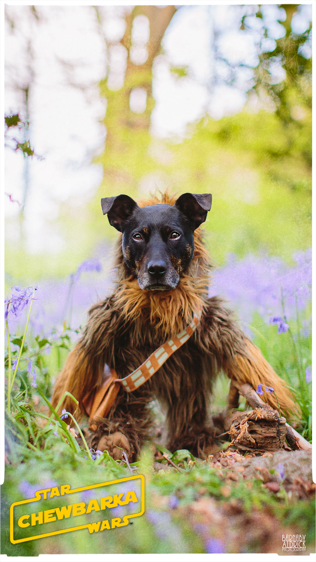 Star Wars Chewbacca Dog Pet Costume, Star Wars Dog Outfit, Star Wars Chewie costume, Star wars Chewbacca pet outfit