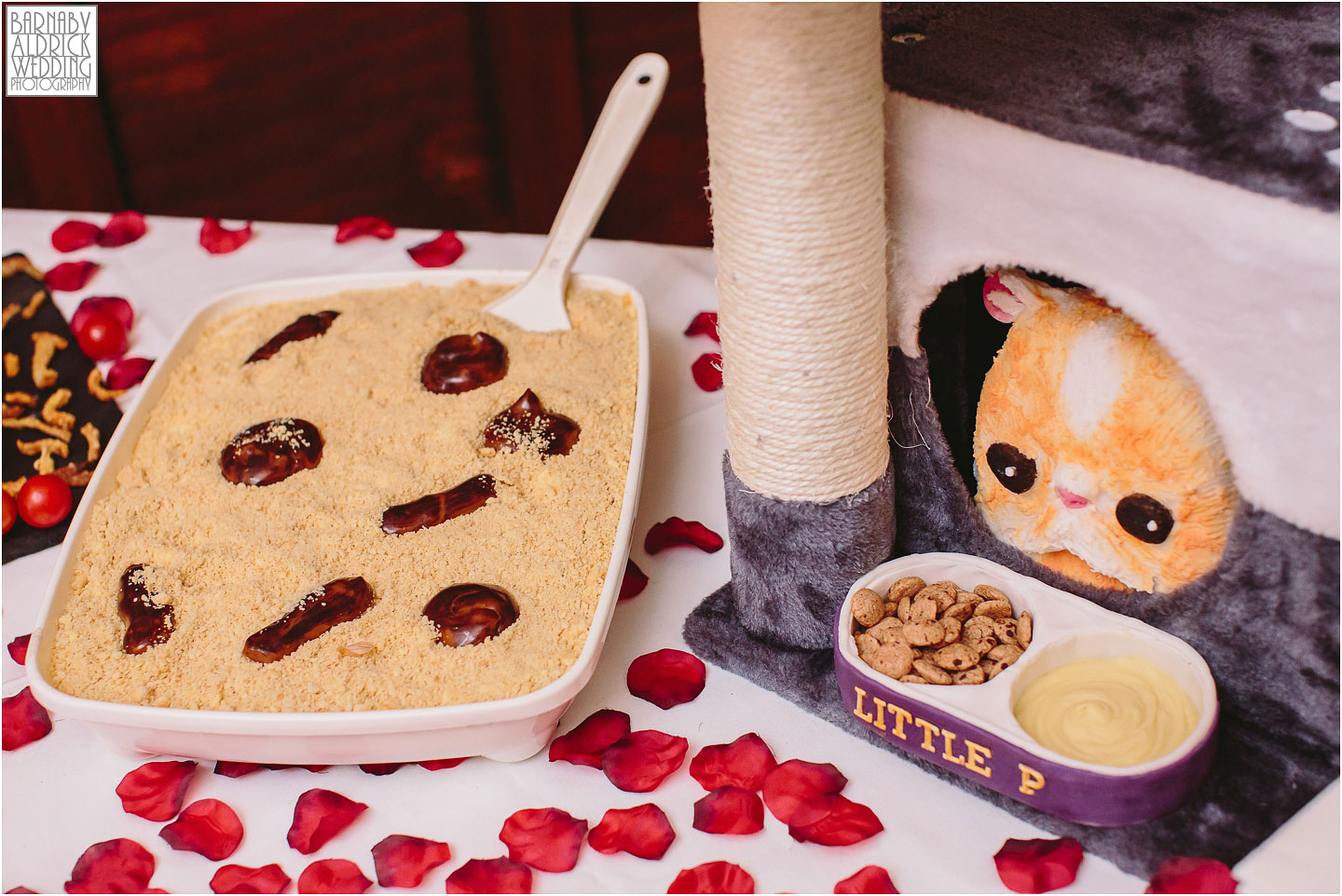 unusual cat litter wedding cake, Amazing Yorkshire Wedding Photos, Best Yorkshire Wedding Photos 2018