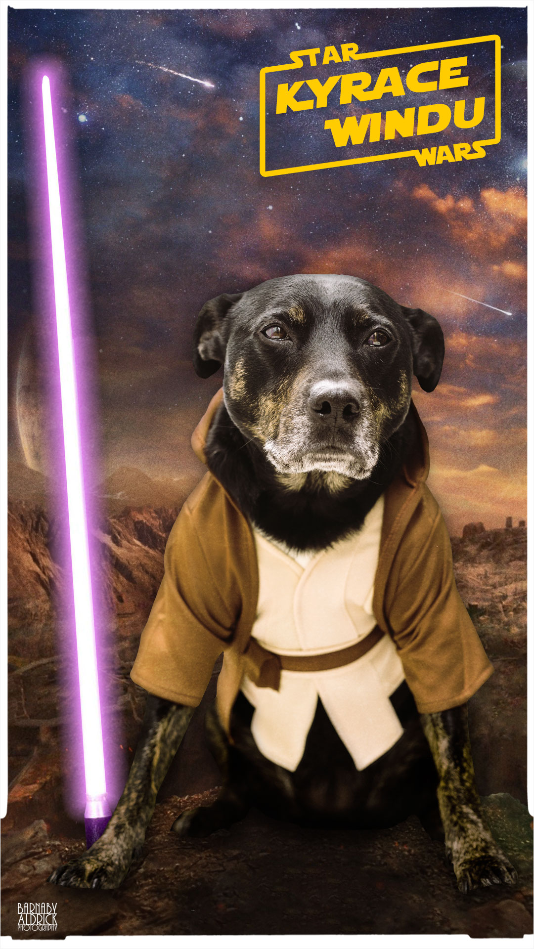 Star Wars Dog Fancy Dress, Pet Star Wars Costume, Mace Windu star wars dog costume