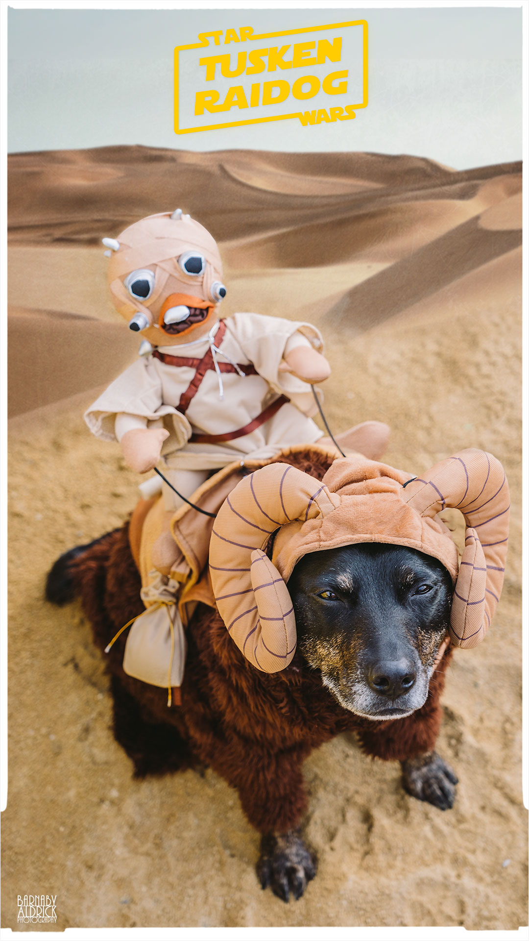 Star Wars Tusken Raider Dog Costume, Tusken Raider Dog Outfit, Star Wars Bantha Dog Costume