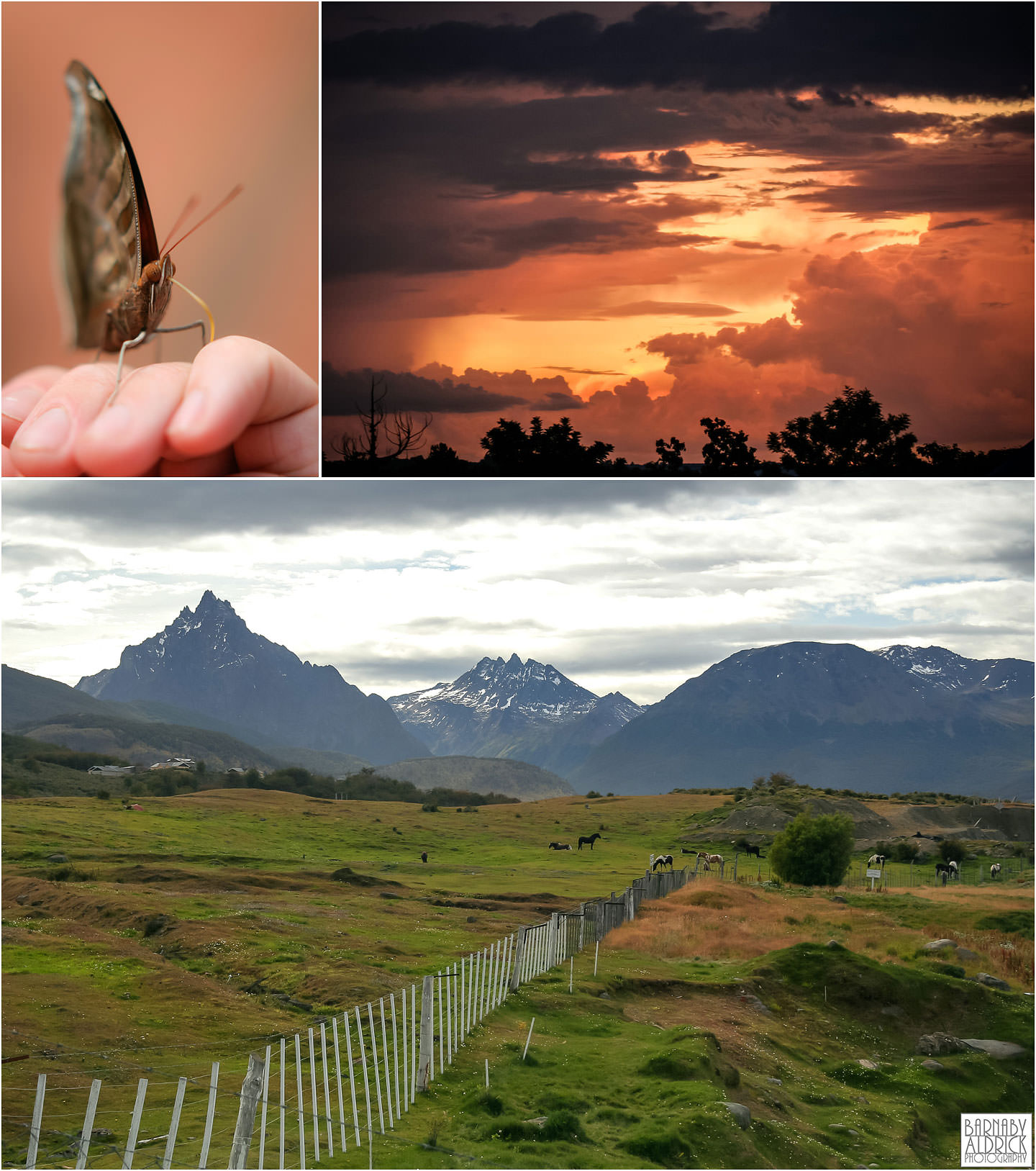 Iguazu Falls Butterflies, Sunset San Ignacio Argentina, Ushuaia Argentina