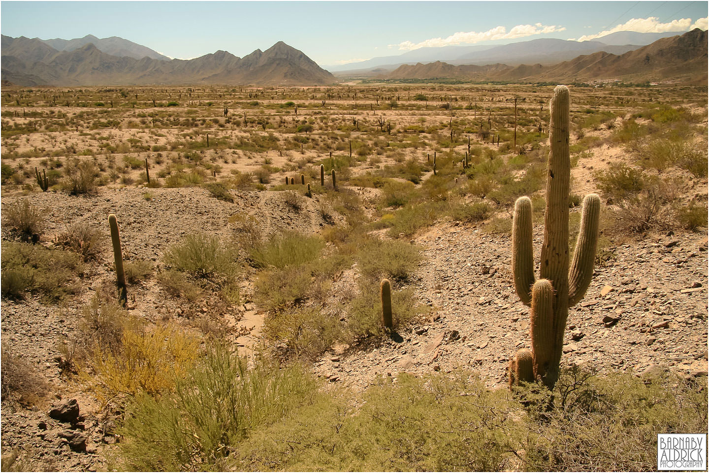 Puenta del inca National Park Argentina, Mendoza Landscape Argentina