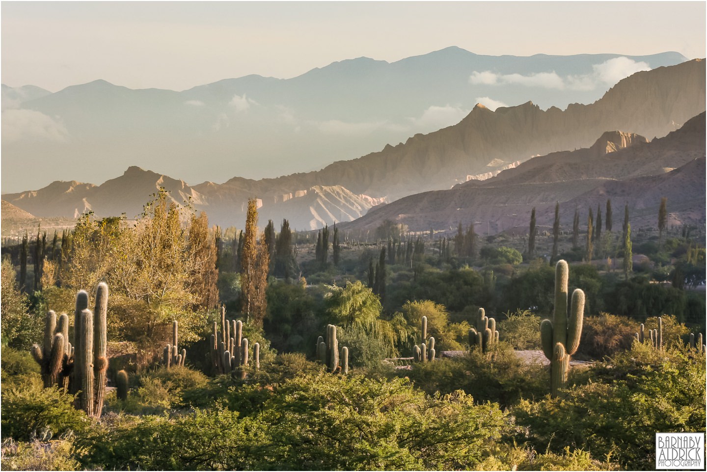 Parque Nacional Los Cardones, Los Cardones National Park, Cactus National Park Argentina, Cachi Argentina, Salta Region Argentina