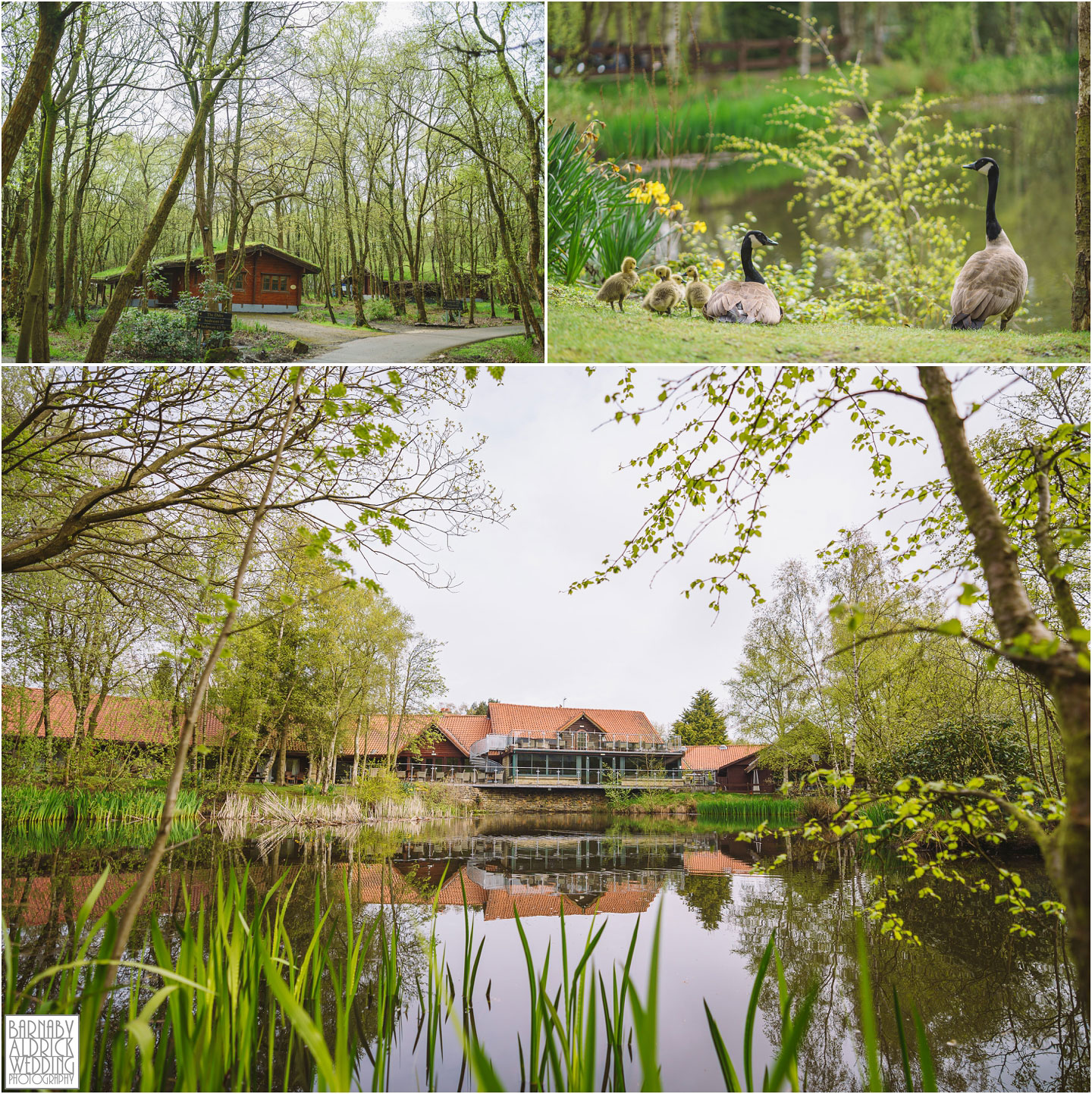 Chevin Country Park Wedding,Chevin Country Park PhotographerYorkshire wedding Photographer, Otley Yorkshire Wedding Photographer